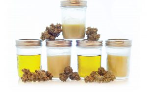 Cannabis buds with jars of different infused fats.