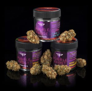 Cannabis jars and buds